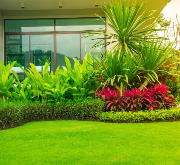 Sustainable Landscaping Ideas for Greener Properties